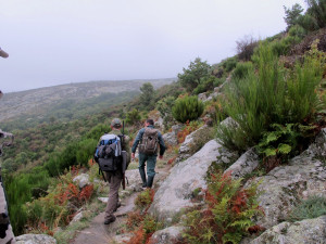 king-of-the-mountain-guides-on-trail